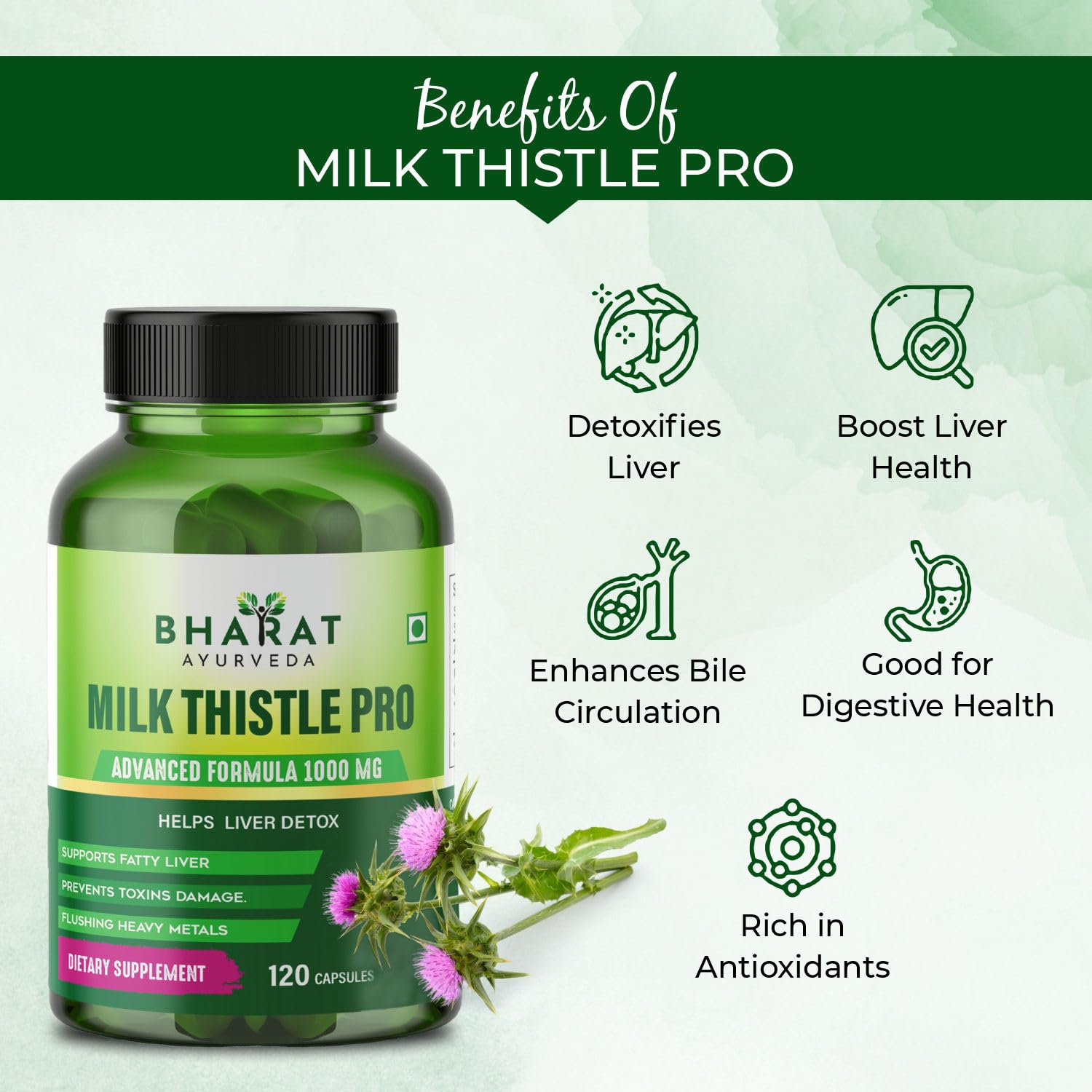 Milk Thistle (120 Capsules)