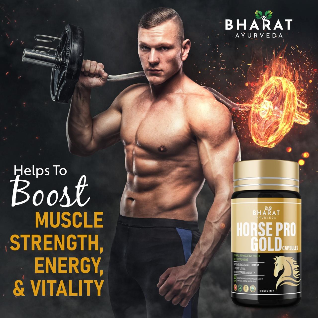 Horse Pro Gold (60 Capsules)